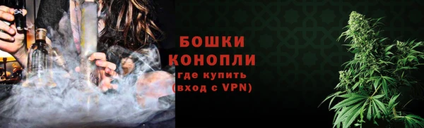 ГАЛЛЮЦИНОГЕННЫЕ ГРИБЫ Вязники