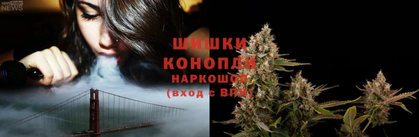 2c-b Горнозаводск