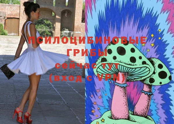 mdma Горняк