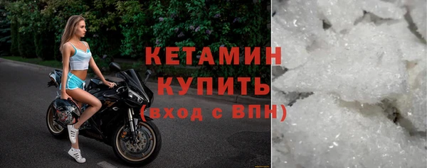 трава Болотное