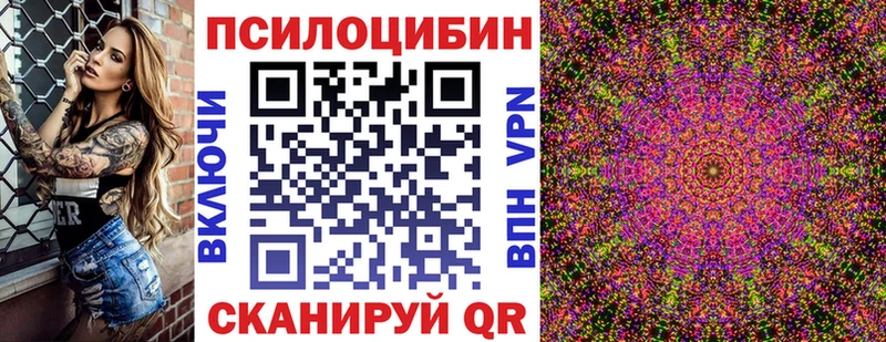 даркнет официальный сайт  Зерноград  Галлюциногенные грибы мицелий 